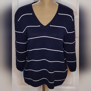 Vintage White Stag Navy and White Striped V-Neck Sweater
